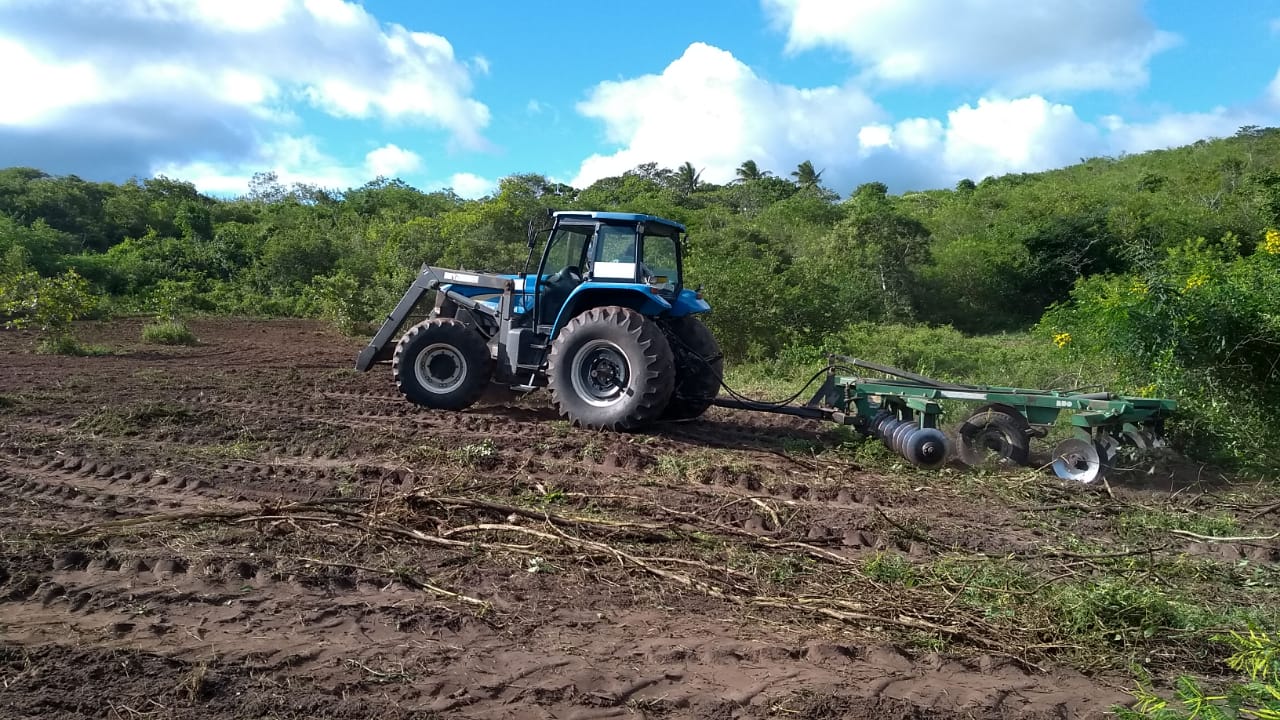 Prefeitura de Bananeiras realiza cortes de terra para agricultores do município