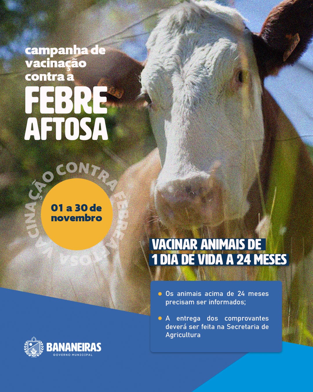 Prefeitura de Bananeiras alerta criadores para vacinação contra a Febre Aftosa